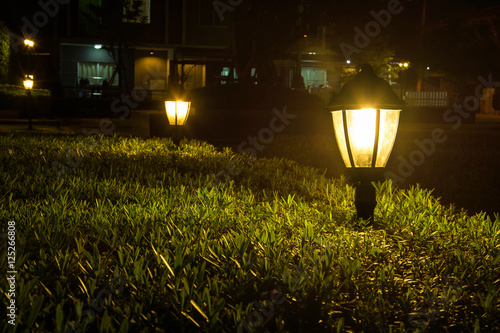Yellow light in the park at night
