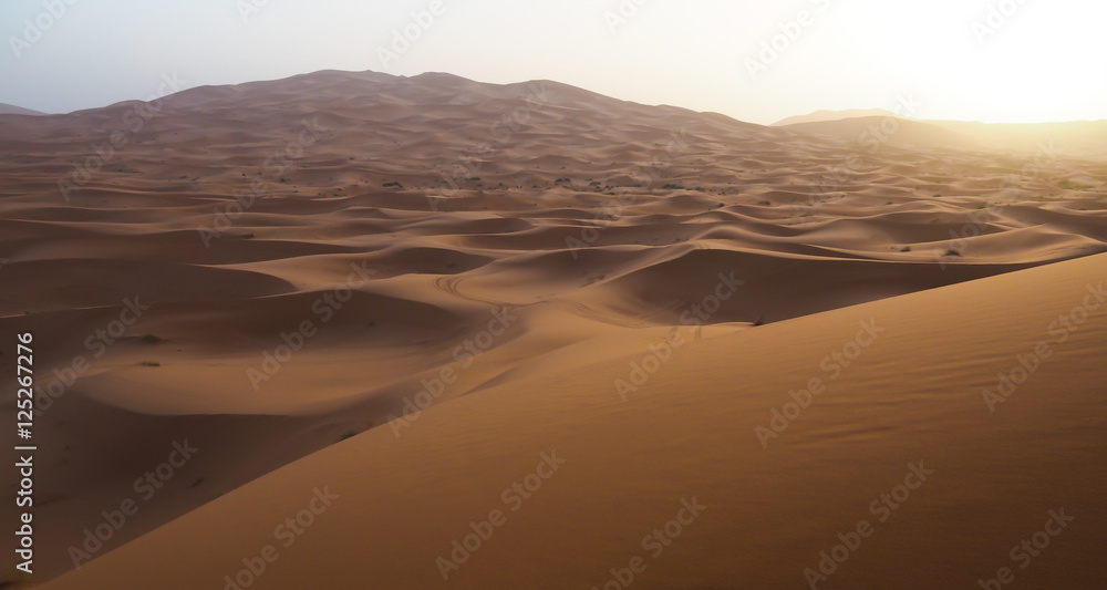 Sahara desert in Morocco with sand dunes Sahara desert in Morocco with sand dunes