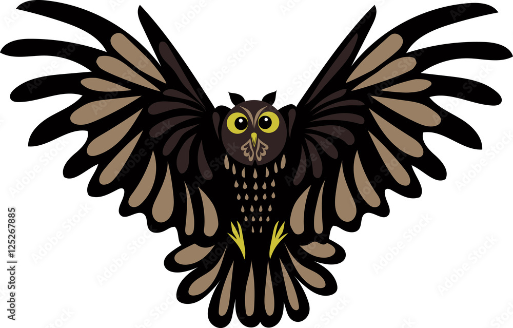 Obraz premium owl