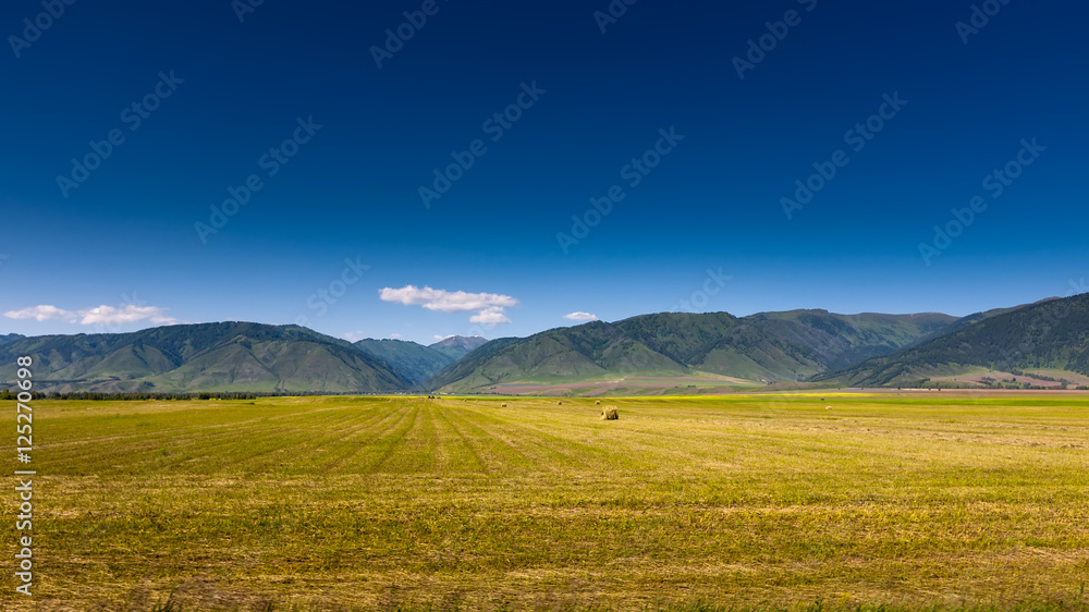 Beautiful landscape of highlands of Altai mountains Beautiful landscape of highlands of Altai mountains