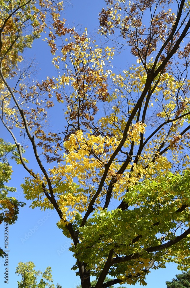 Obraz premium 자연 환경