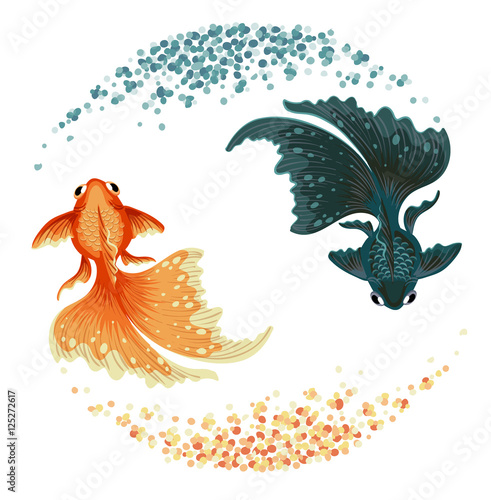 black carp goldfish