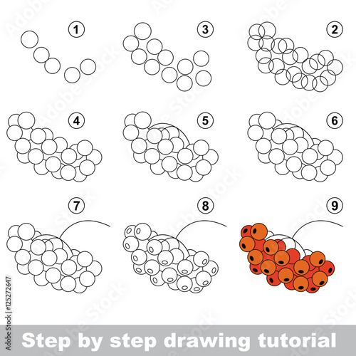 Drawing tutorial. Red rowan.