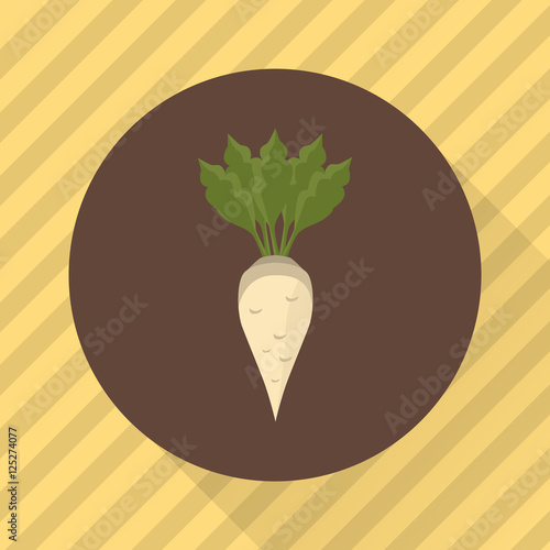 Sugar beet agriculture crop. Color flat icon