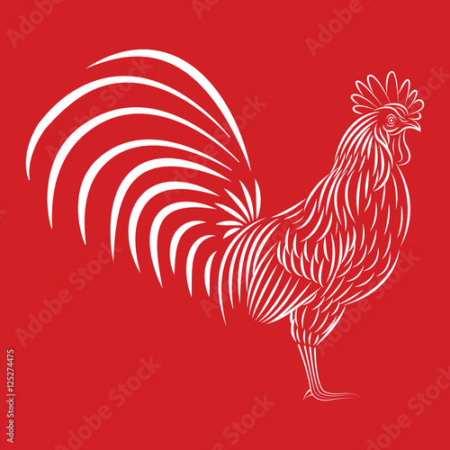Hand drawn doodle outline rooster illustration.