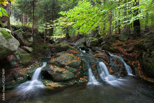 Falls in Autumn Forest Wilderness