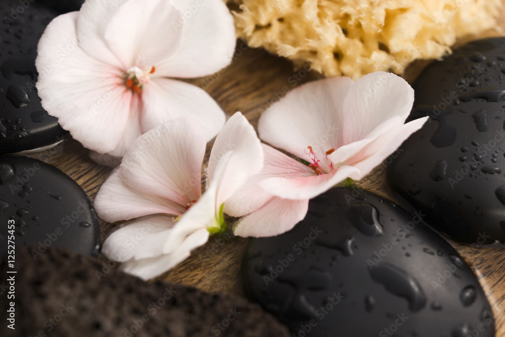 Spa still life, with pink flowers, stones and water