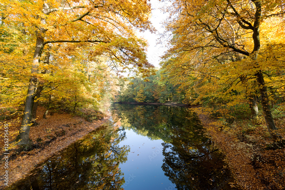 Autumn colored Trees reflected in Creek at Krefeld