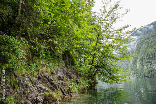 Gesicherte Kletterpassage  wilder Wanderpfad entlang am Ostufer  K  nigssee  Sommer