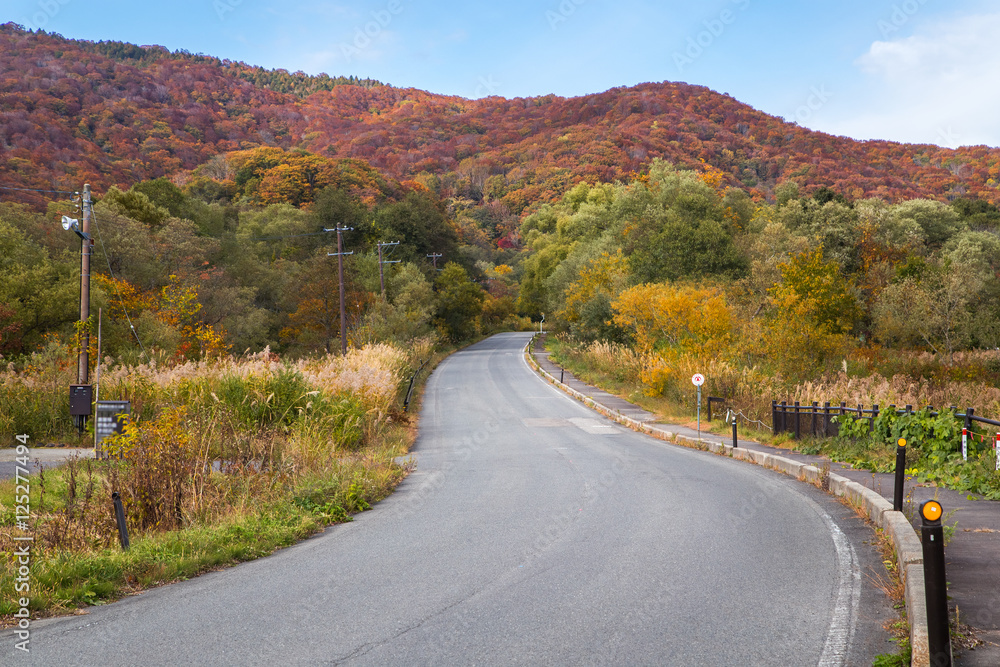 Winding autumn road at Japan