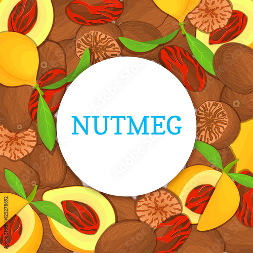 Round colored frame composed of Nutmeg spice fruit. Vector card illustration. Nutmeg nuts frame, fruit in the shell, whole, shelled, leaves appetizing looking for packaging design of healthy food