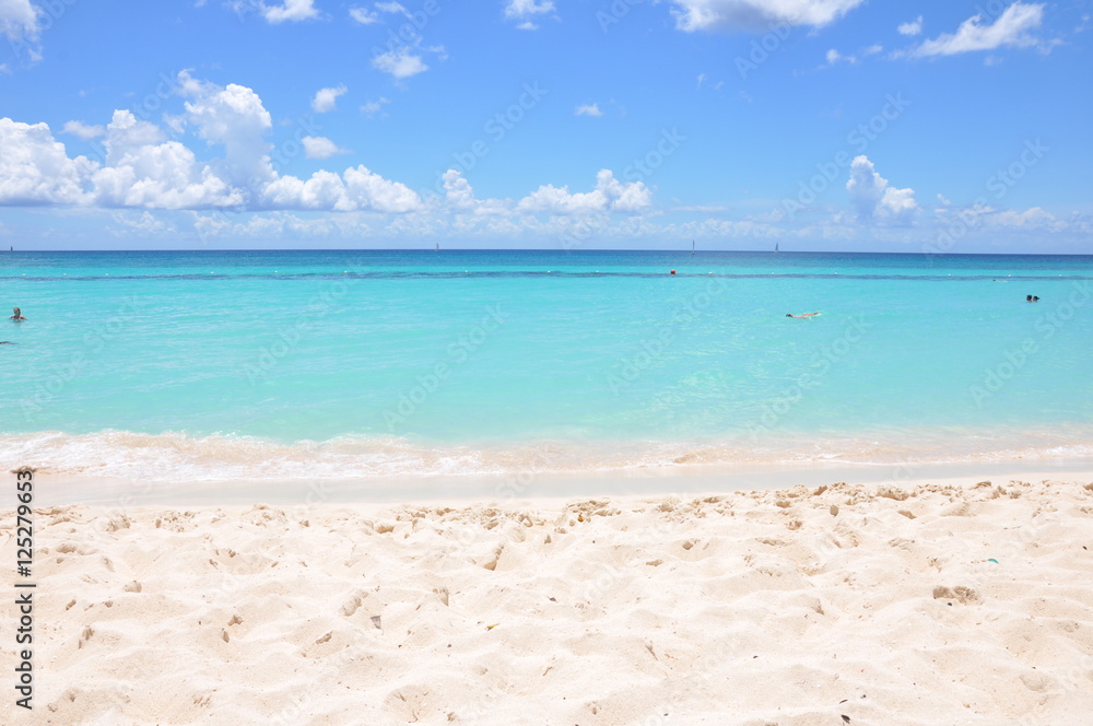 Fototapeta premium Caribbean sea