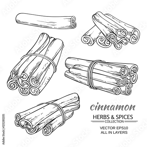 cinnamon vector set