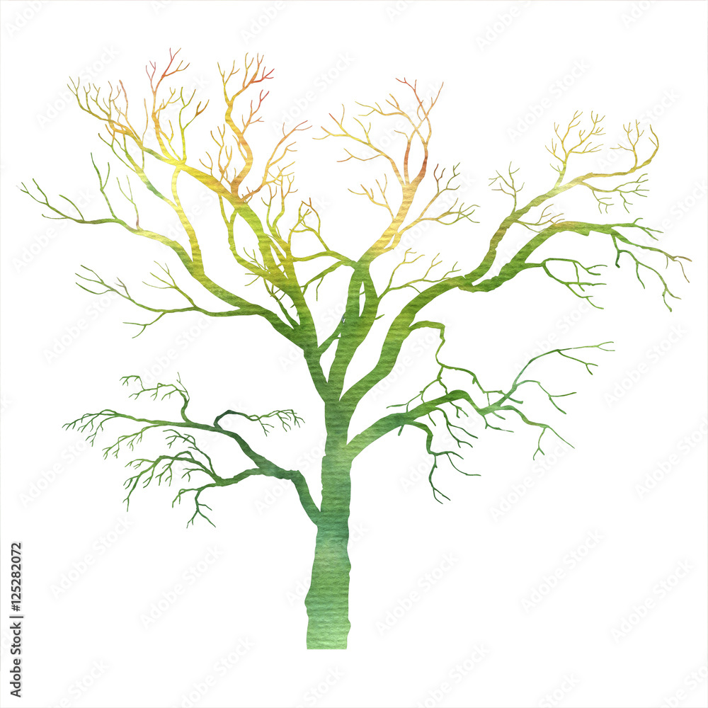 Obraz premium watercolor tree silhouette