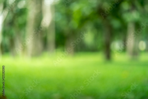 Abstract nature blurred background