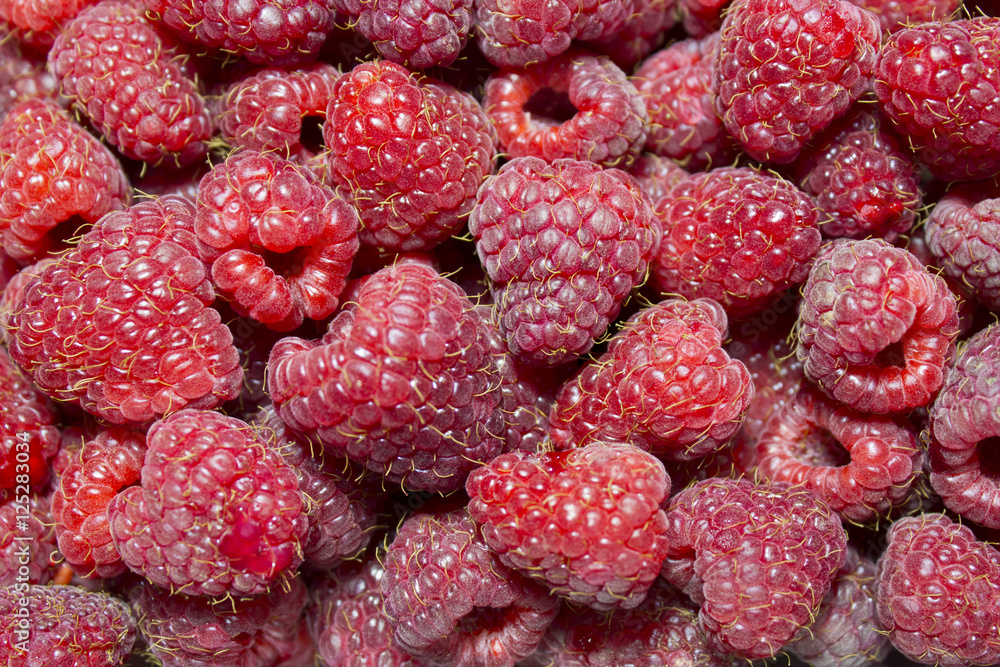 raspberry raspberry