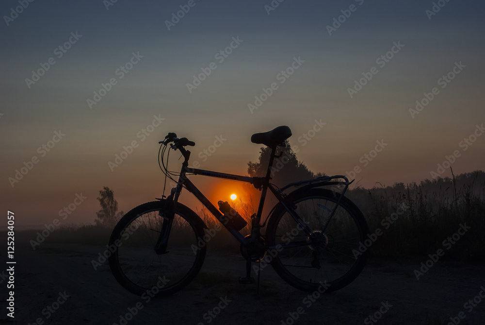 dawn dawn