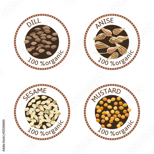Set of spices labels. 100 organic. Spice collection