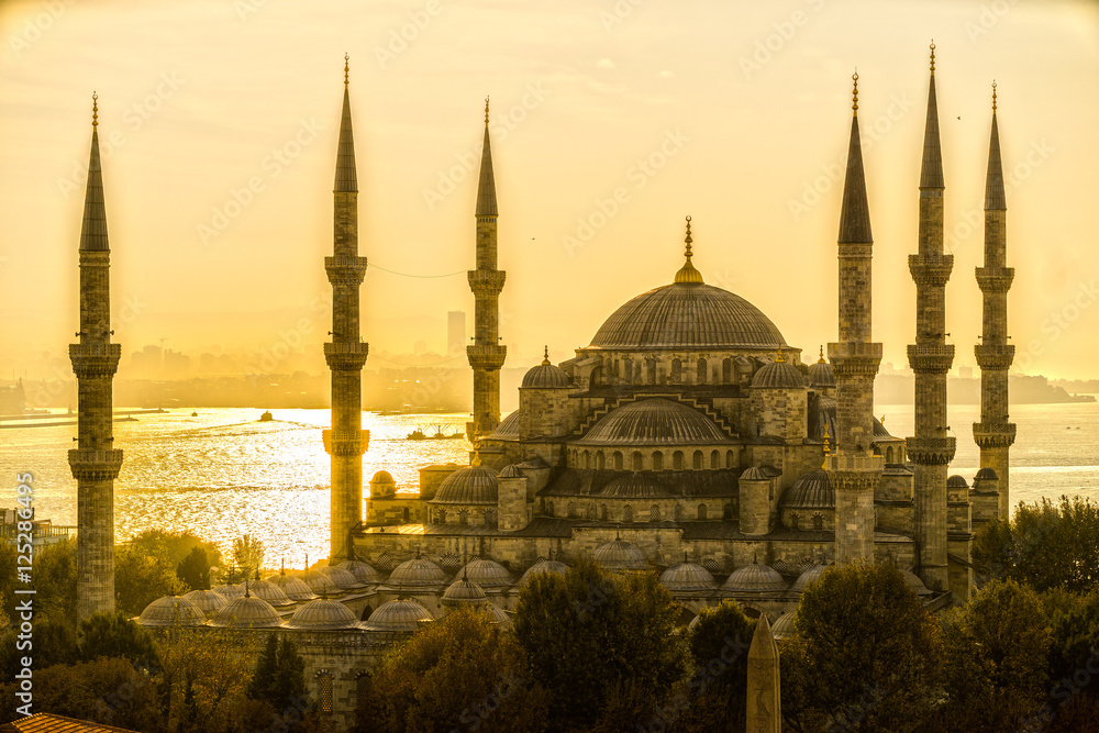 Fototapeta premium The Blue Mosque, (Sultanahmet Camii), Istanbul, Turkey.