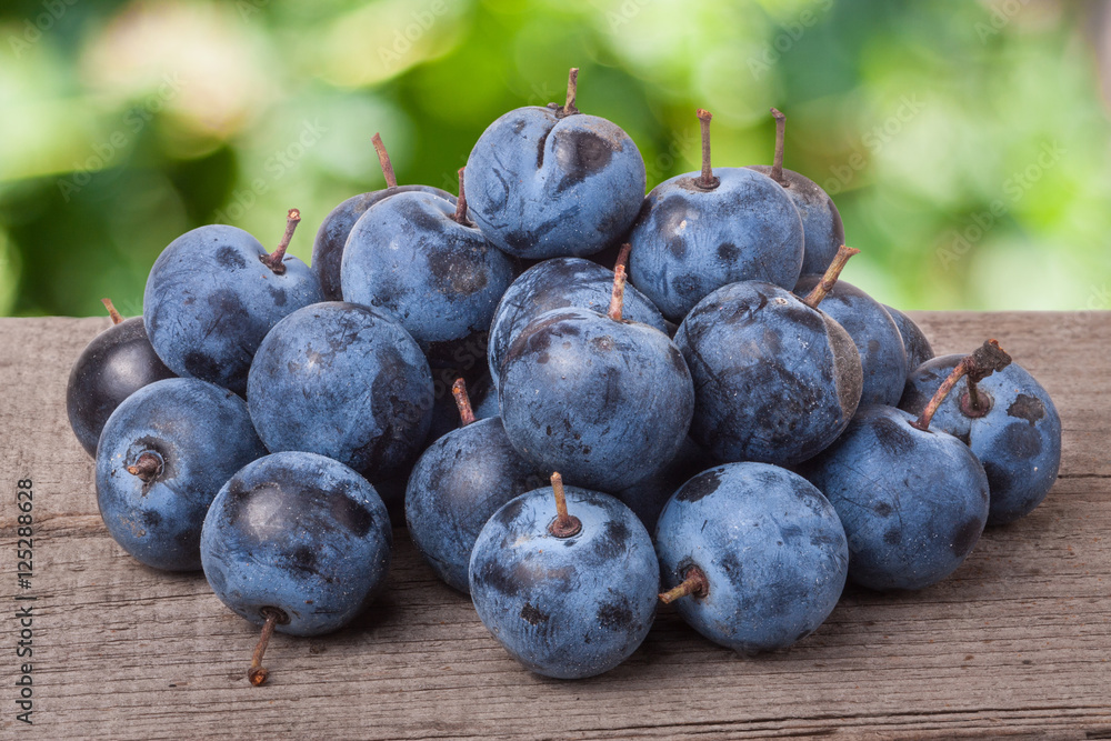 Fototapeta premium heap of blackthorn berries on a wooden table blurred garden background