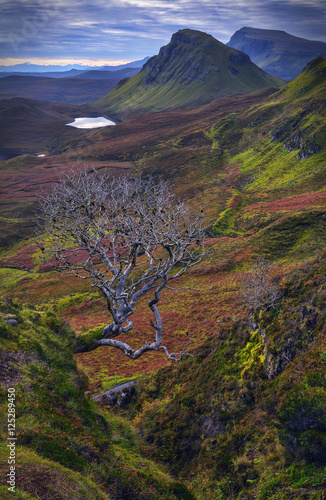 The Quiraing: early october morning. photo