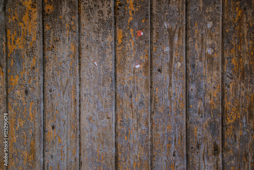 Background of an old wood