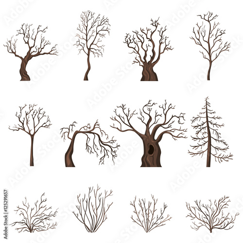Vector Set of Cartoon Bare Trees and Shrubs
