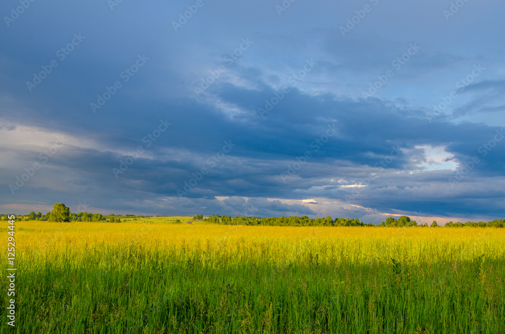 Fototapeta premium blue clouds on a green glade