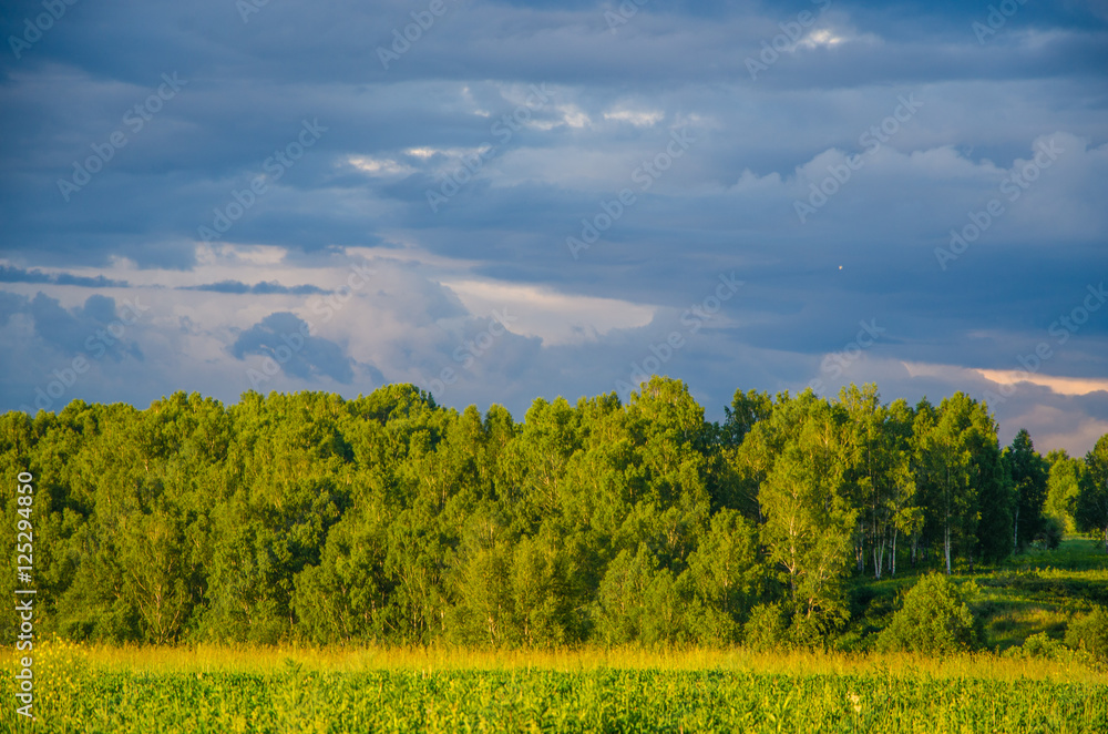 Fototapeta premium blue clouds on a green glade