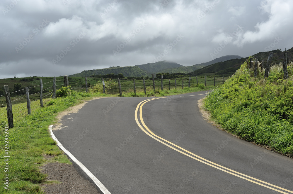 Empty country road on the grassy hills of Maui, Hawaii