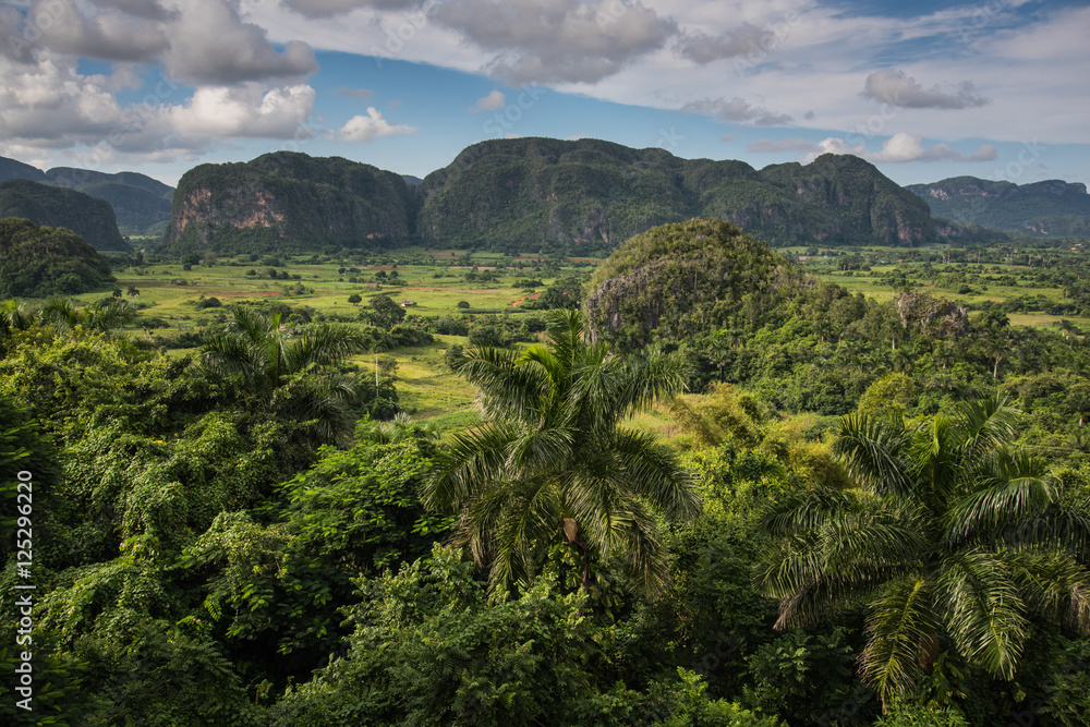 Fototapeta premium Panoramic vista over Vinales Valley in Cuba