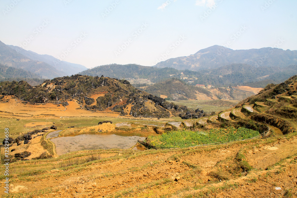 Rice fields in rural Sapa, Vietnam