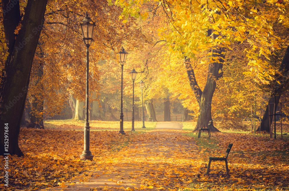 Naklejka premium Colorful tree alley with row of lanterns in the autumn park on a sunny day in Krakow, Poland