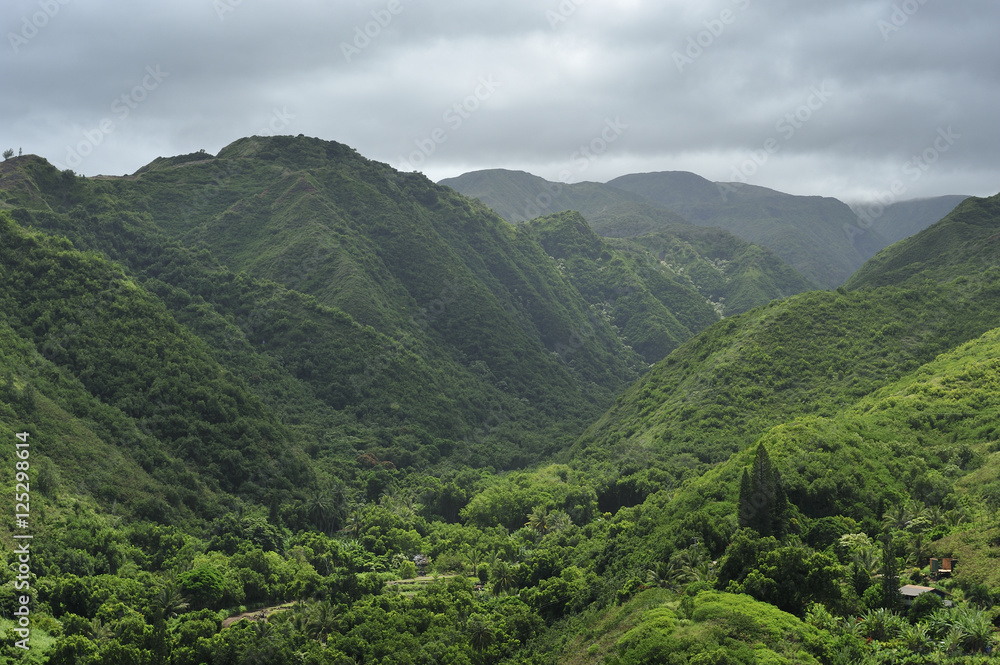 Fototapeta premium Green tropical valley of Maui, Hawaii