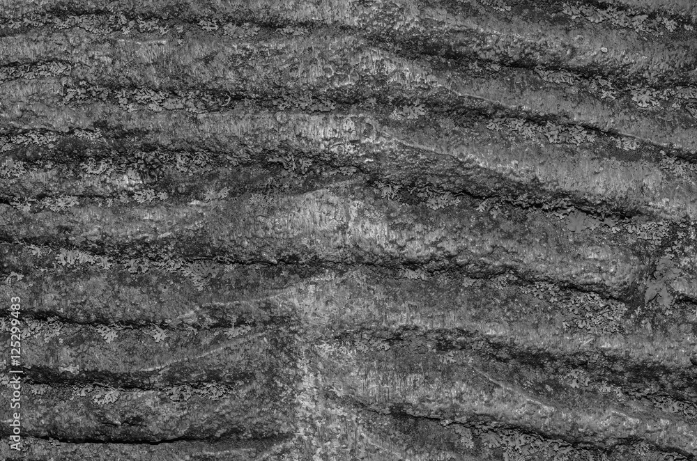old spotty stained concrete wall texture background. gray color. covered with moss old spotty stained concrete wall texture background. gray color. covered with moss