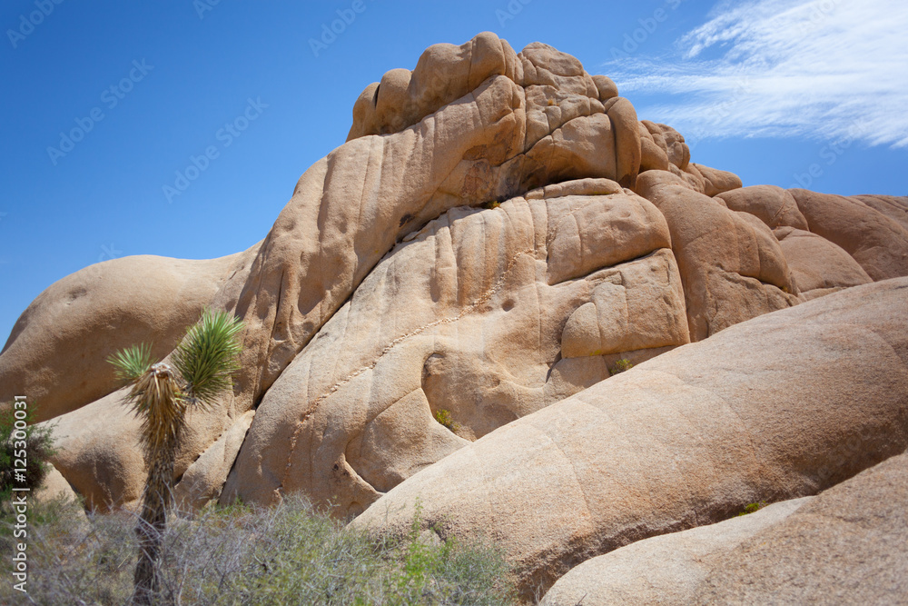 joshua tree rocks joshua tree rocks