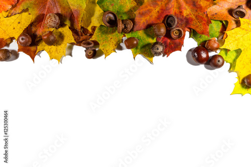 Background with red, orange, brown and yellow falling autumn leaves, chestnuts and peanuts on white board