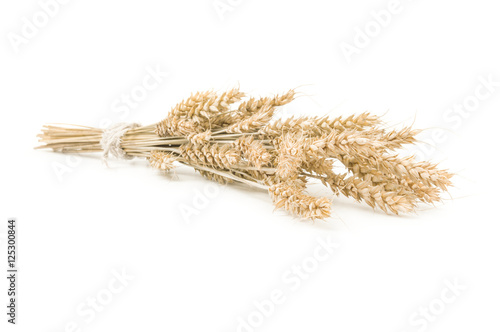 Wheat bunch isolated on white background