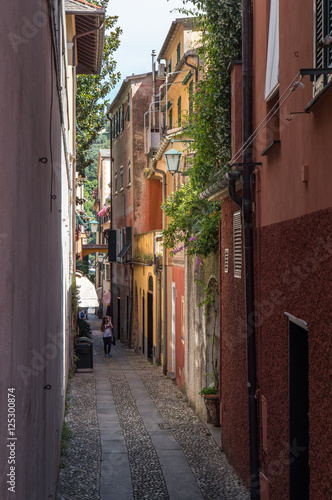 Portofino  Genoa  Italy. Beautiful alley.