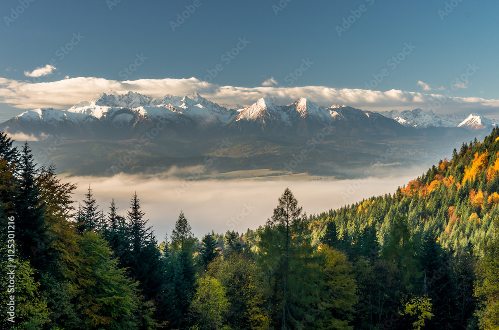 Beautiful autumns panorama over colorful autumn Pieniny mountains to snowy Tatra mountains, Poland