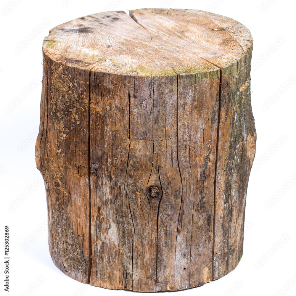 Obraz premium log isolated on a white background