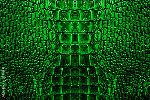 Green Crocodile Leather Texture Background