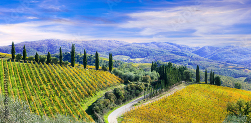 Beautiful scenery of rural Tuscany with autumn vineyards. Italy photo