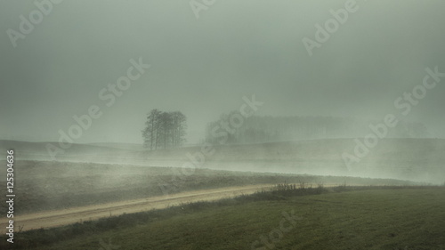 Mgłą pokryte pola
