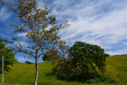 Blue sky over green hills in California