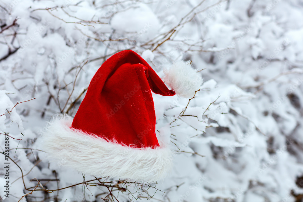 Christmas Santa hat on snow