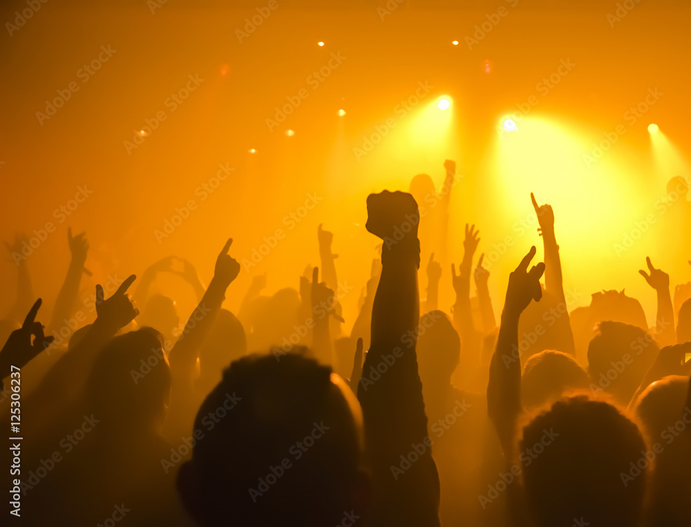 Jubelnde Konzertbesucher auf Rock-Konzert Jubelnde Konzertbesucher auf Rock-Konzert