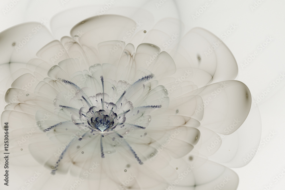 Obraz premium Abstract white background with dark blue and light grey flower i