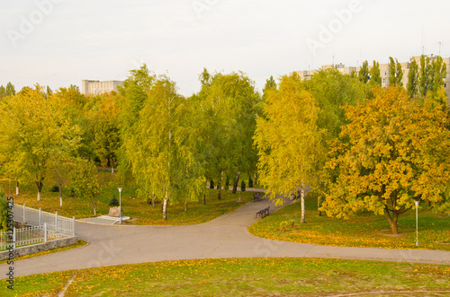 Multicolored trees in a city park on autumn
