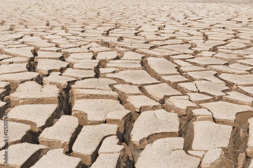 Dried and Cracked ground